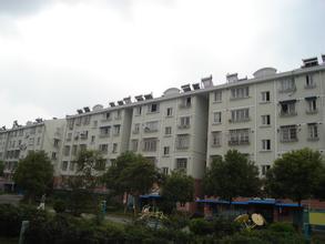 �ʳ��������ܻ�����