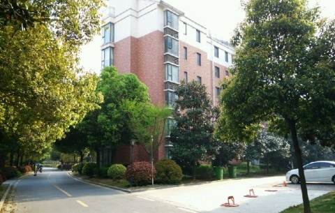 ������^�����@���ܻ�����