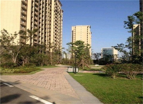 �Ͼ����{�ɰ��ƹ��@������Ԣ���Ϸ���������