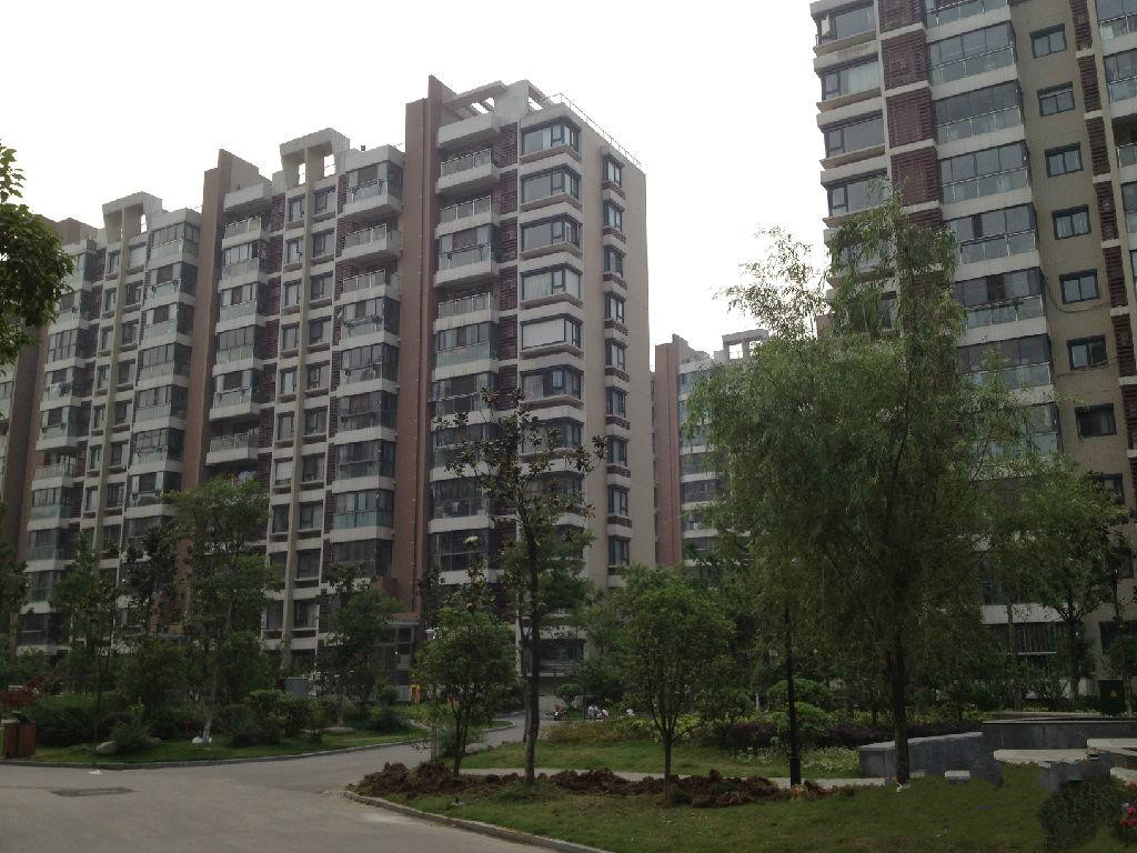 ���d�Ͼ��˲Ź�Ԣ��������