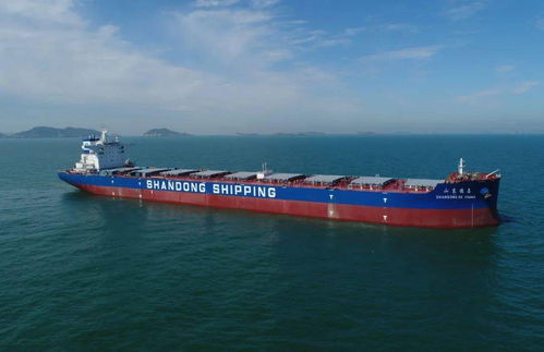 連續(xù)交付助力產(chǎn)業(yè)升級(jí) 集成電路設(shè)計(jì)賦能船舶制造新高潮